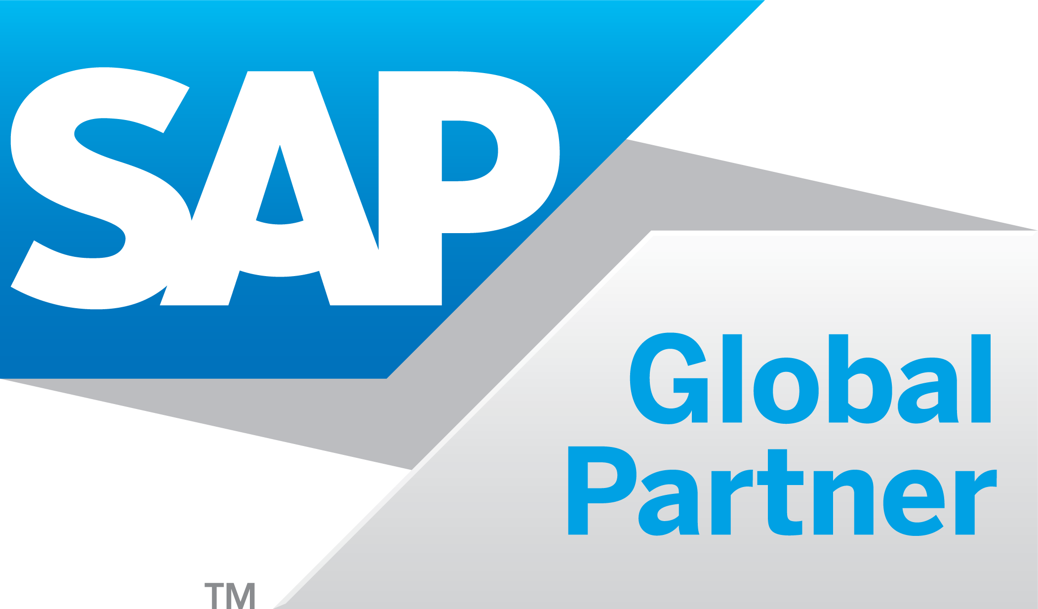 SAP Global Partner logo